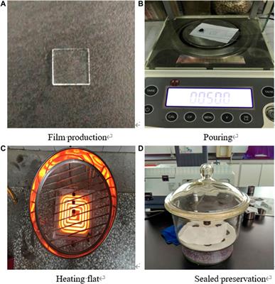 Relation Between Adhesion Properties and Microscopic Characterization of Polyphosphoric Acid Composite SBS Modified Asphalt Binder